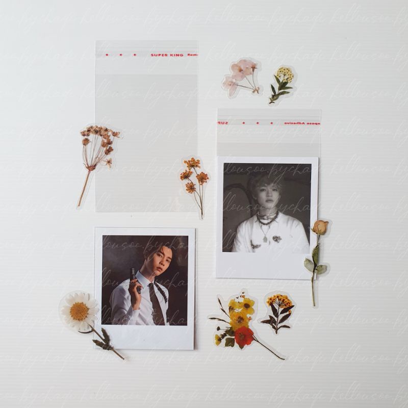 Inner Sleeve Plastik Postcard Polaroid NCT (XS)