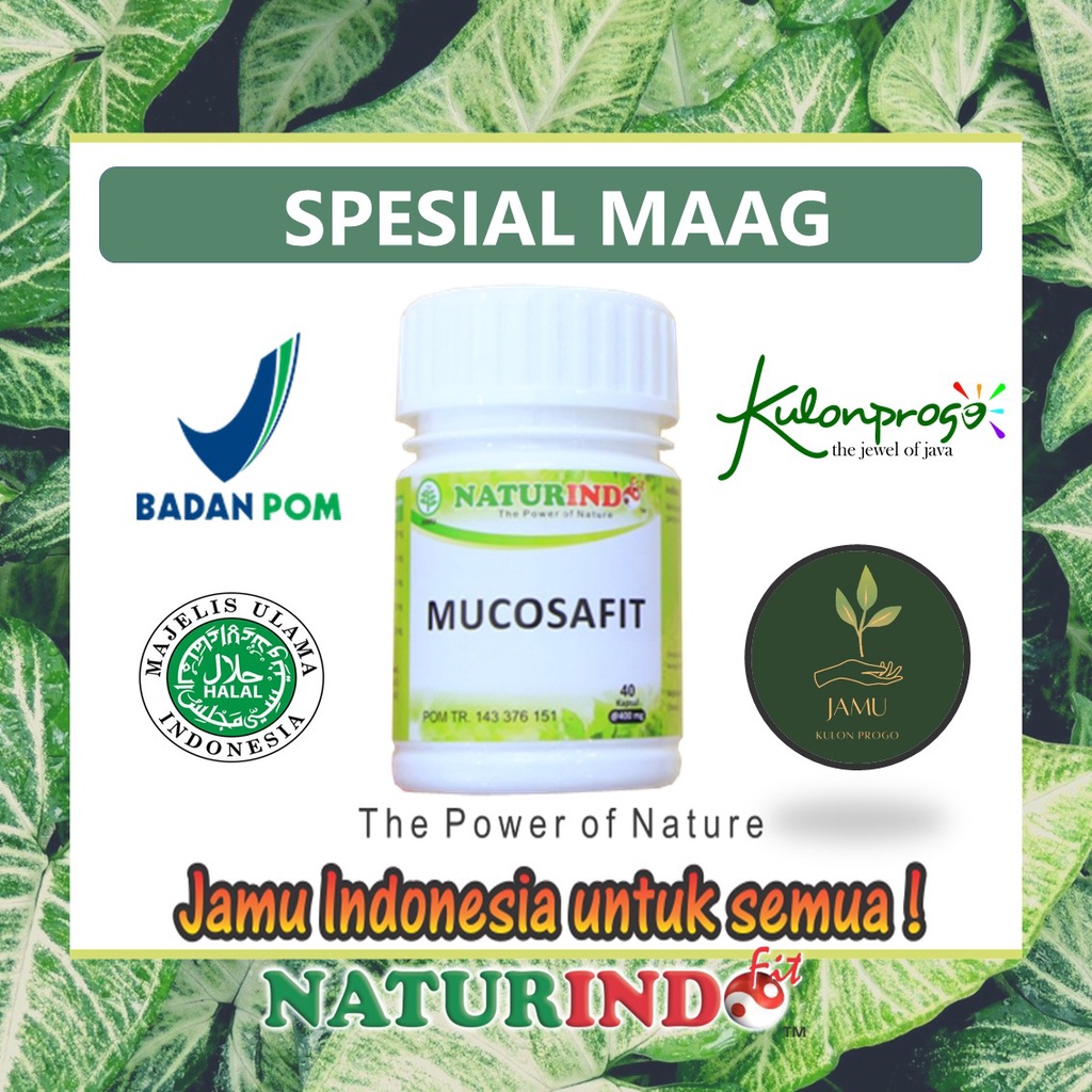 Obat Maag Mual Muntah Lambung Seperti Terbakar Gerd Tukak Lambung Asam Lambung Kronis Herbal Ampuh Mucosafit Bpom-3