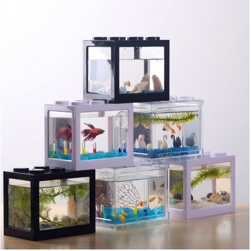 Akuarium Ikan Cupang Akrilik Aquarium Mini Acrylic