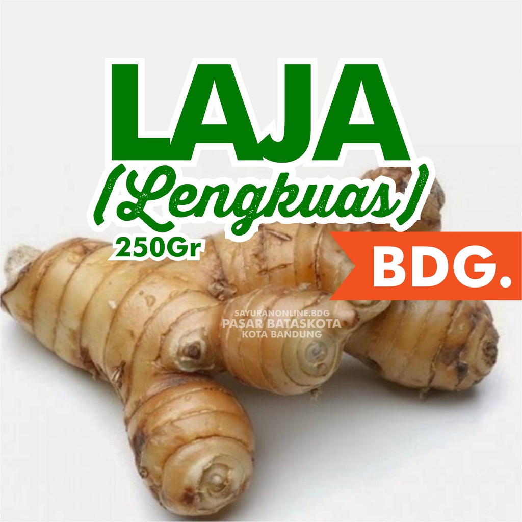 

LENGKUAS / LAJA SAYURAN SEGAR FRESH BANDUNG PASAR ONLINE