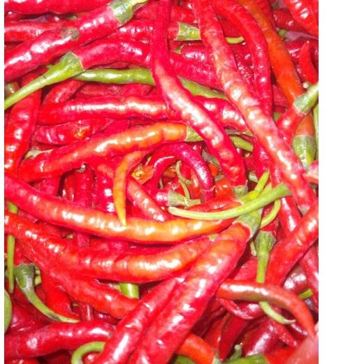 

ペ CABAI MERAH KRITING 1kg Big Sale