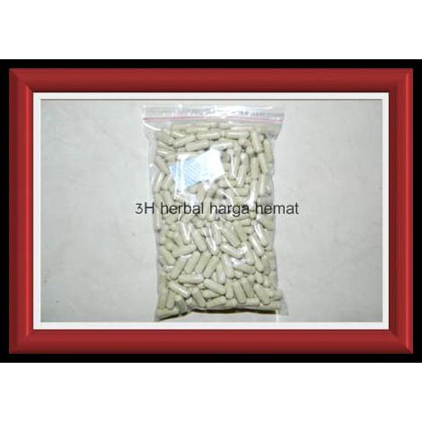 PRODUK TERBATAS Curah Kapsul Ginseng Panax Radix Obat Herbal Kuat Stamina Pria