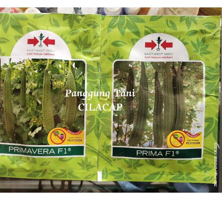 Terbagus.. Benih Gambas/Oyong PRIMA F1 (Stop Produksi) - PRIMA VERA F1 (Nama Terbaru dr PRIMA F1) Is