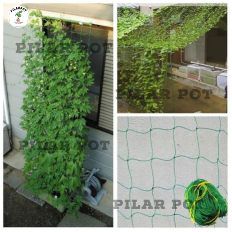 JARING RAMBATAN TANAMAN PLANT CLIMBING NET 1,8 METER - JARING RAMBATAN