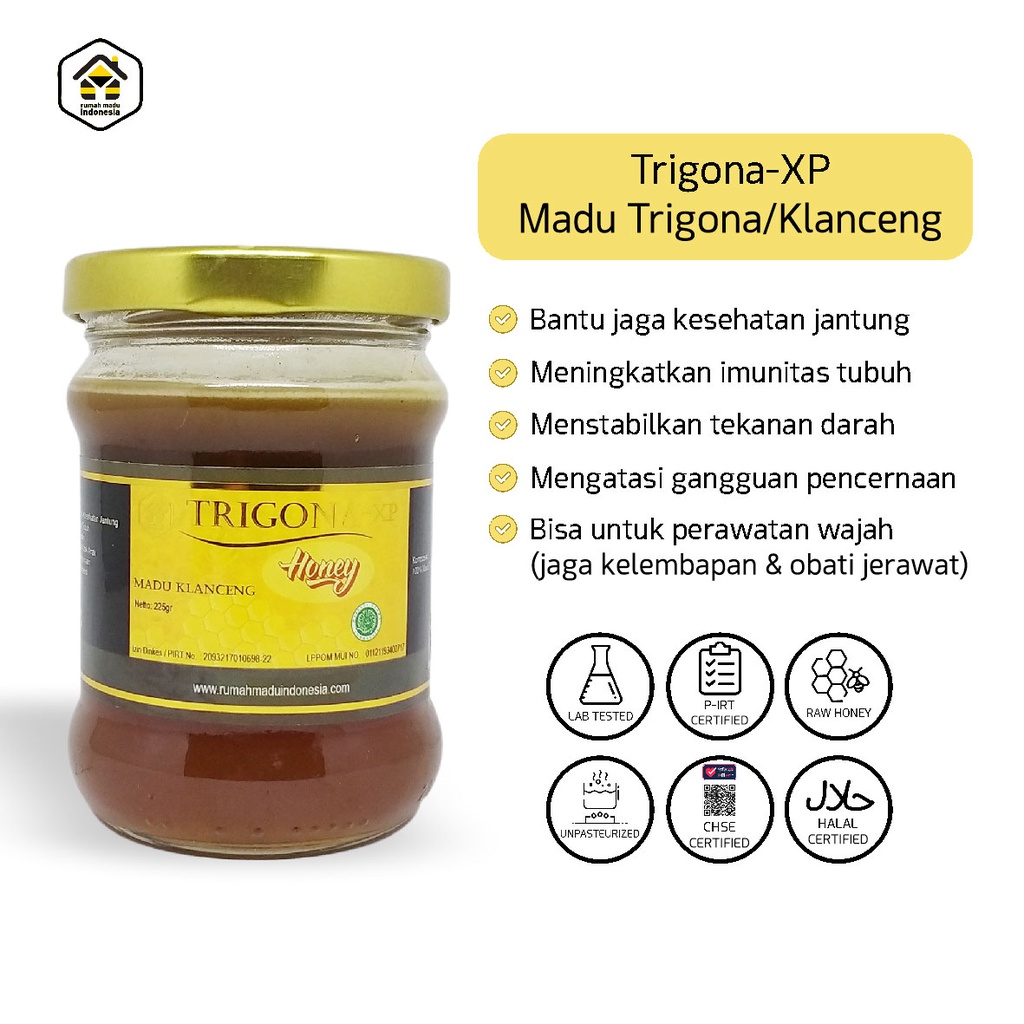 Madu Klanceng Madu Murni Asli Lebah Klanceng Original Isi 225 Gram Madu Kelulut Asli Kalimantan Madu Trigona Premium Madu Asli Murni Original Klanceng