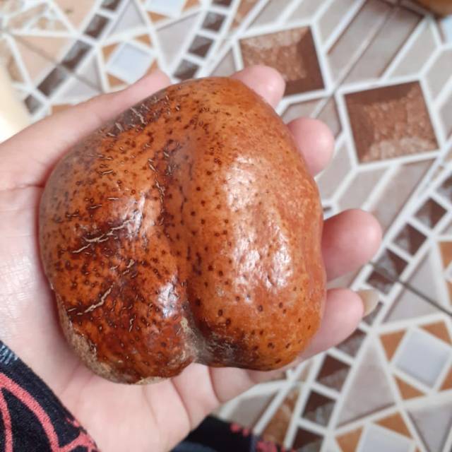 

Buah dzuriat/doom mesir