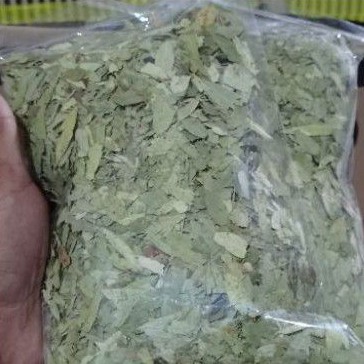 

DAUN JATI CINA 100 GRAM