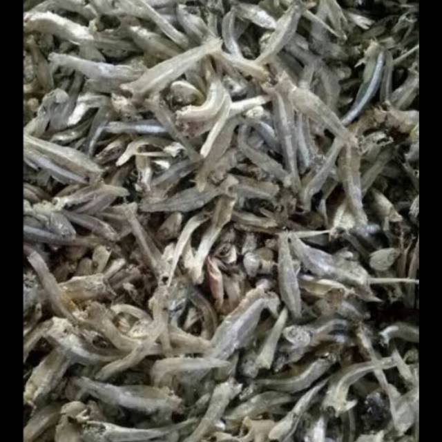 

Ikan Tri Asin Jengki Kualitas Super harga Terjangkau
