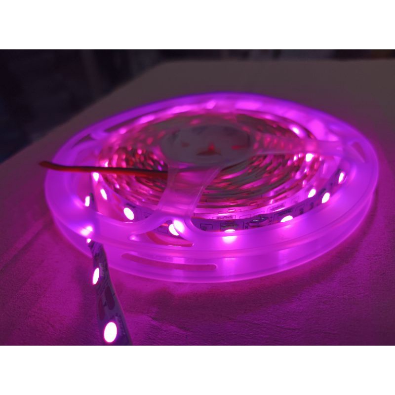 Led Strip ( Warm White - Putih - Biru - Pink)Mata Besar Non Gel 5Meter SMD 5050 DC 12V IP 33 / LED Plafon / Led Kitchen Set