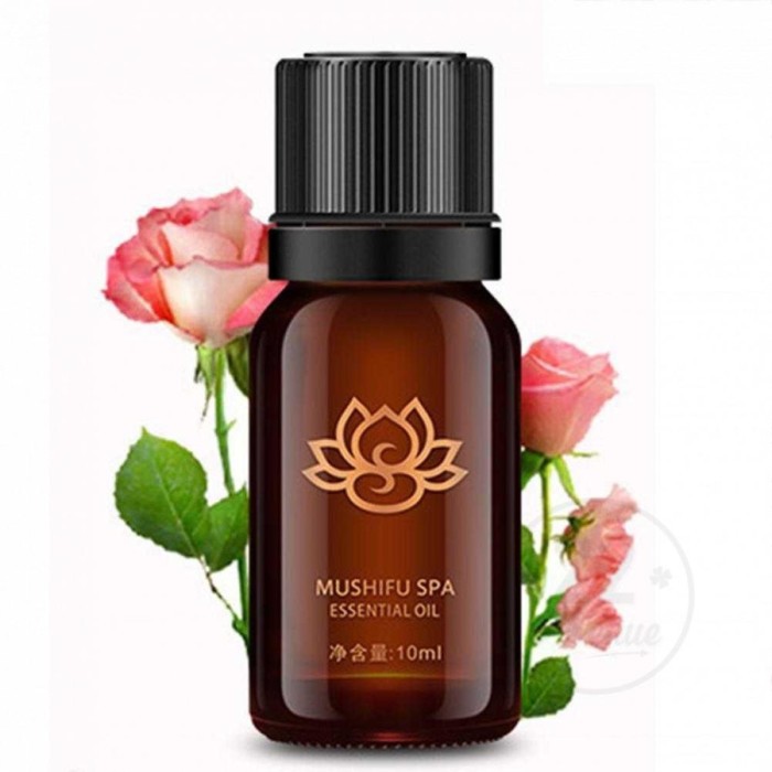 Pengharum Ruangan Essential oil Aroma terapi diffuser Humidifier 10ml