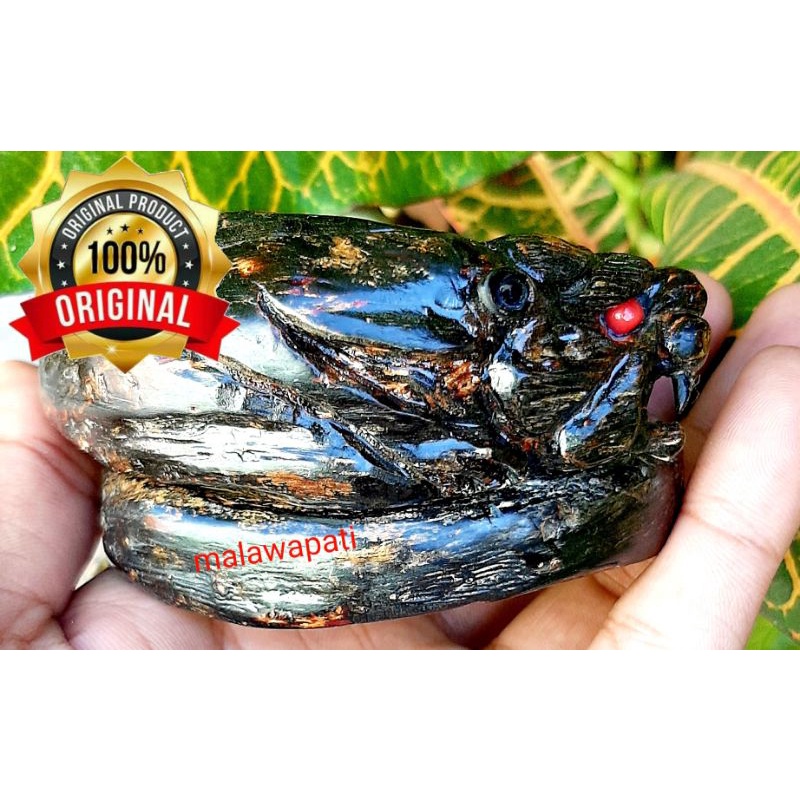 GELANG AKAR BAHAR MERAH KRISTAL UKIR MACAN HARIMAU SAMPING / GELANG AKAR BAHAR ASLI / GELANG KESEHAT