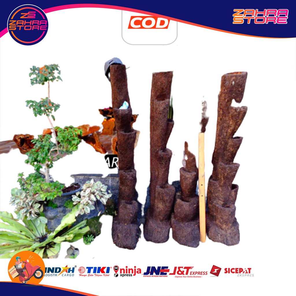 

media tanam anggrek pohon pohon paku anam