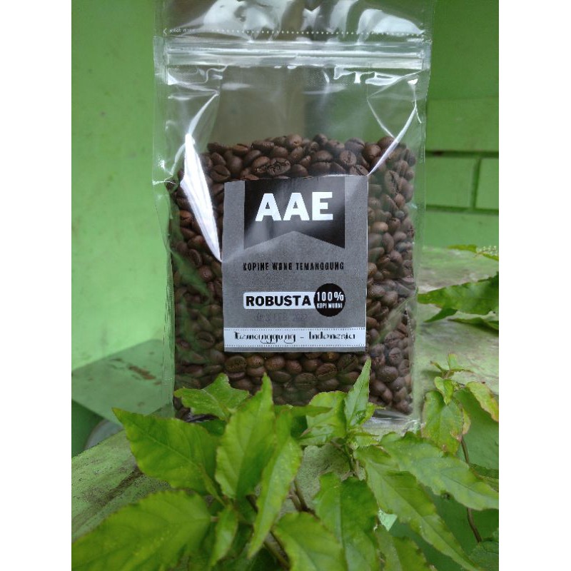 Kopi biji sangrai Robusta Temanggung Medium Dark