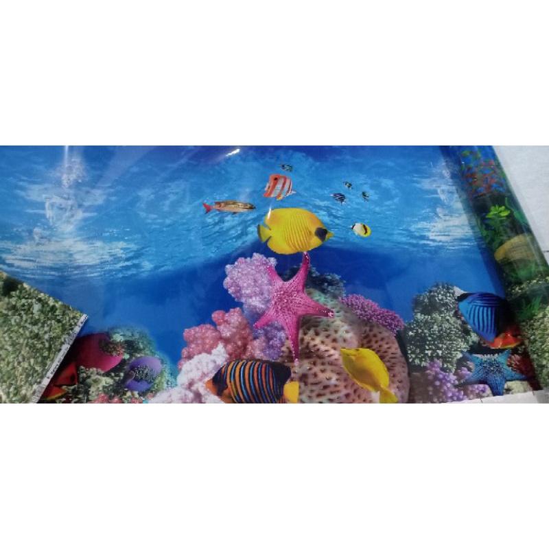 Background Gambar Latar Belakang Aquarium Tinggi 60cm