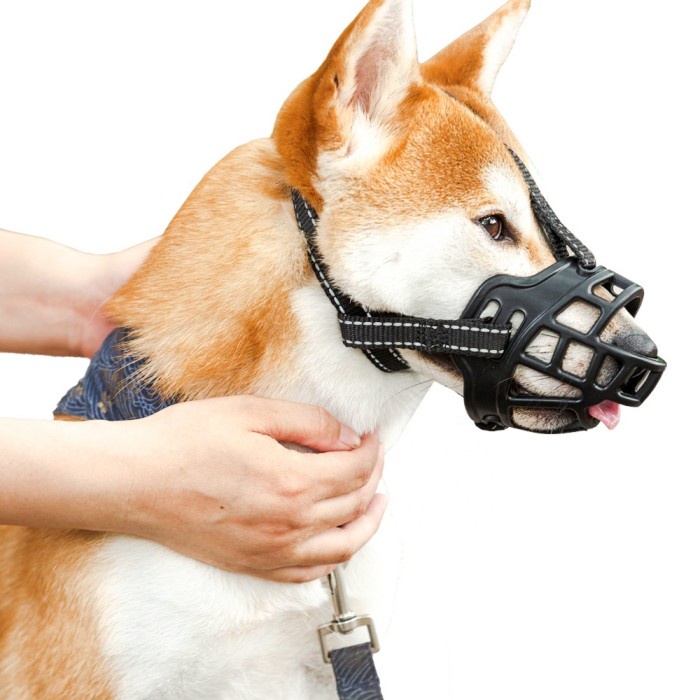 Household Dog Muzzle Anti Bite Pet Muzzle Tool S Shopee Indonesia