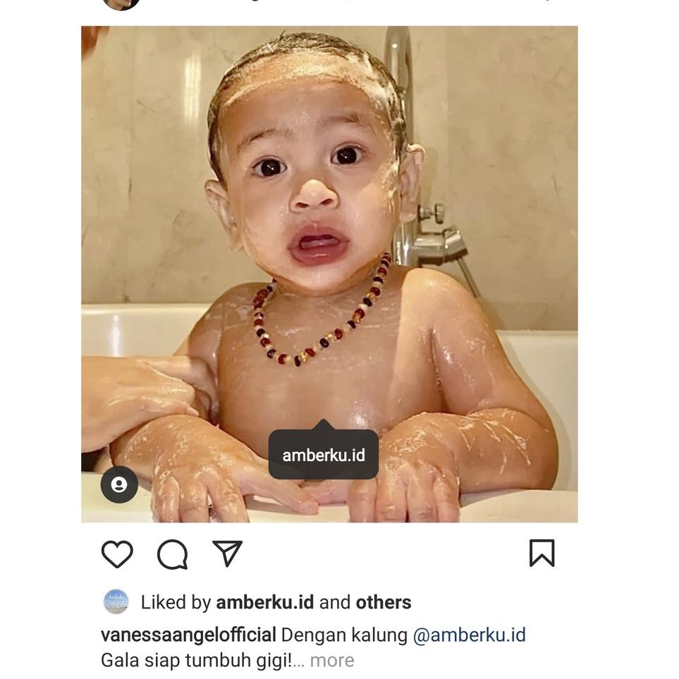 Tren Terbaru Kalung GALA [Kalung Amber Amberku K11CG]