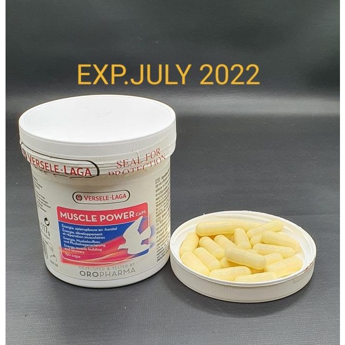 PROMO MUSCLE POWER ISI 150 CAPSUL VERSELE LAGA UNTUK STAMINA MEPRATI LOMBA Murah