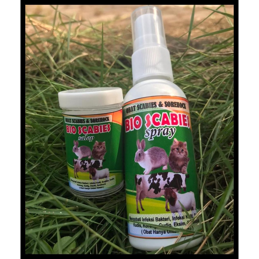 Obat Sorehock Kelinci, Obat GUDIG UNTUK KELINCI, Obat Koreng HEWAN, Obat Scabies Kucing, Anjing, Kam