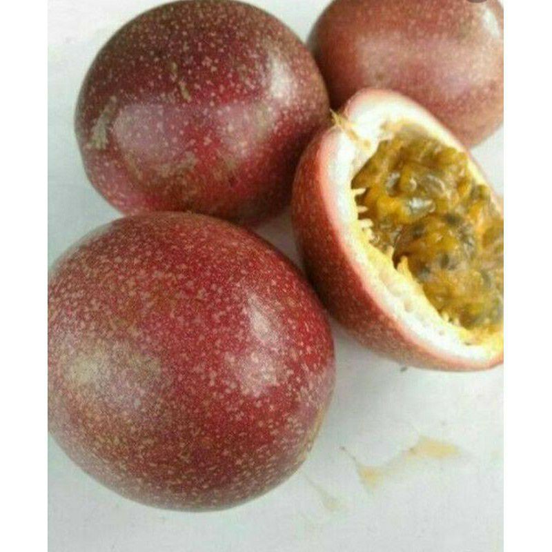 

Biji Buah Markisah isi 10 biji