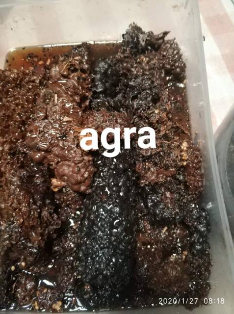 

2Xbtygneal Sakha Snack ) 600Gram Madu Klanceng Lanceng Kelulut Teuweul Trigona Kele Asli Dan Murni