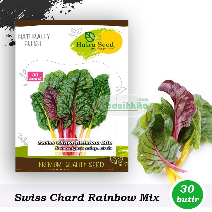 Benih-Bibit Swiss Chard Rainbow Mix (Haira Seed)