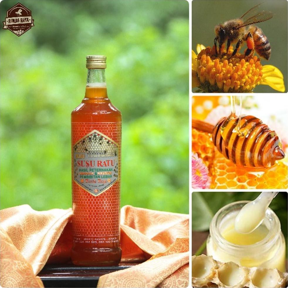 

Murah Meriah!! Madu Royal Jelly / Madu Susu Ratu