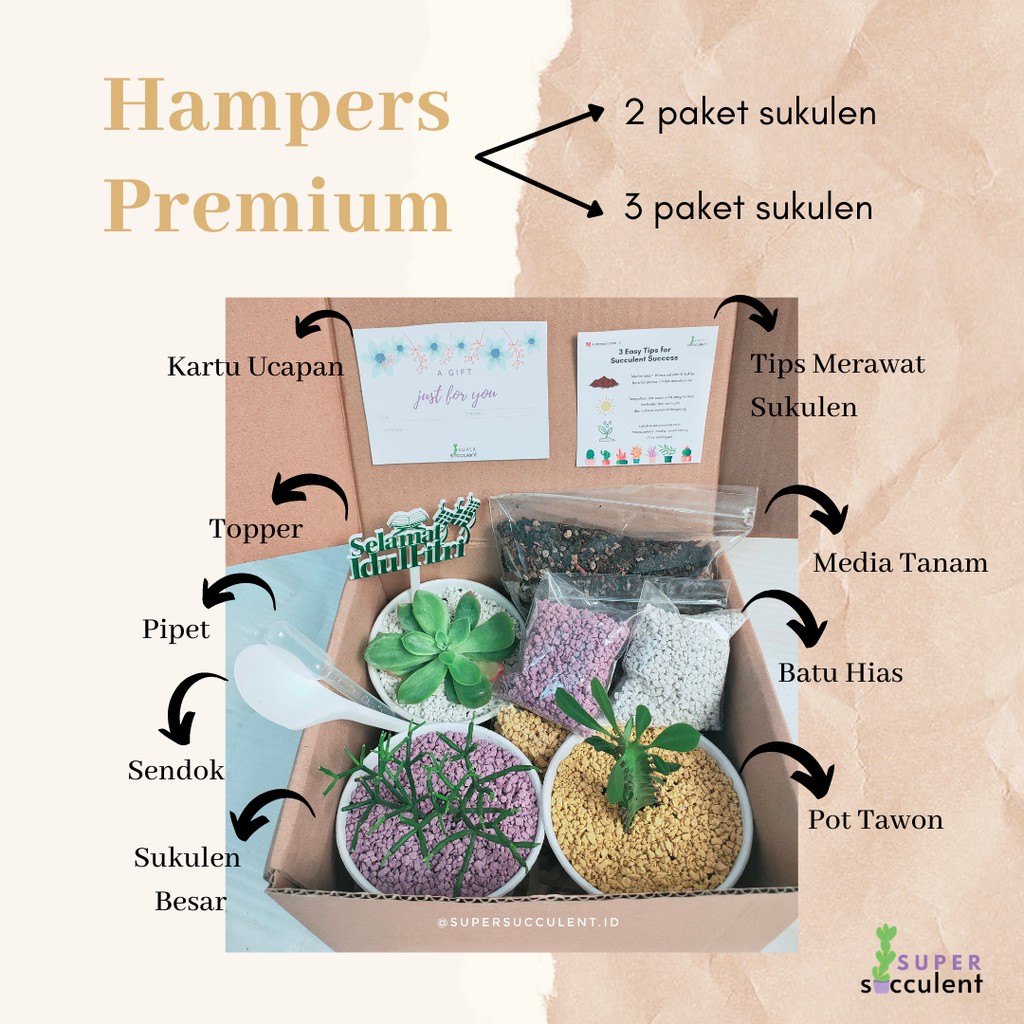 [PREMIUM] Gift Hampers Kado Paket Kaktus Sukulen Birthday Graduation Wedding Wisuda Lebaran