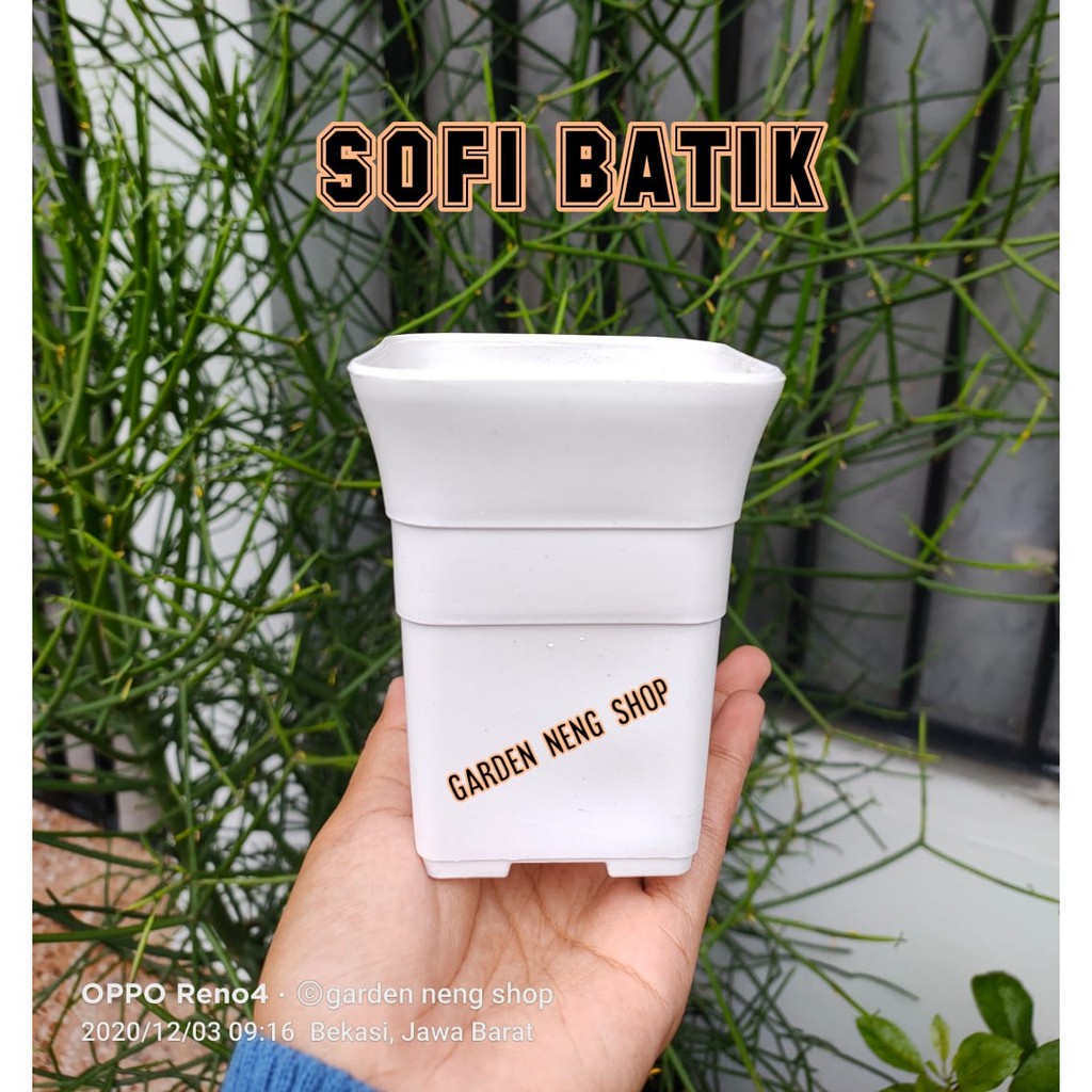 Jual Pot Kotak Sofi Batik Cm Putih Mirip Pot Kotak Sofi Cm Putih