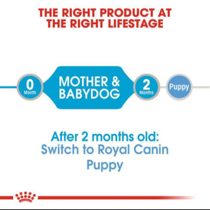 royal canin starter mousse wet food 195gr dog food makanan basah anak anjing induk hamil menyusui bubur bayi dog