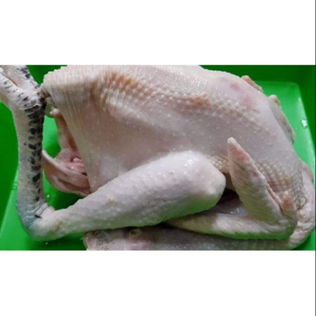 

FREE RANGE KAMPONG CHICKEN