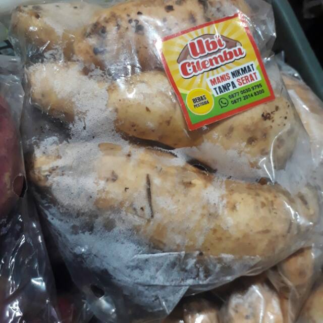 

ubi cilembu (perpack)