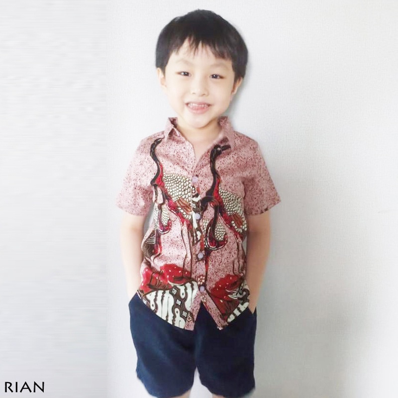 Kemeja Batik Anak - Batik Anak Laki-Laki / Kemeja Anak / Batik Couple / Rian Kids