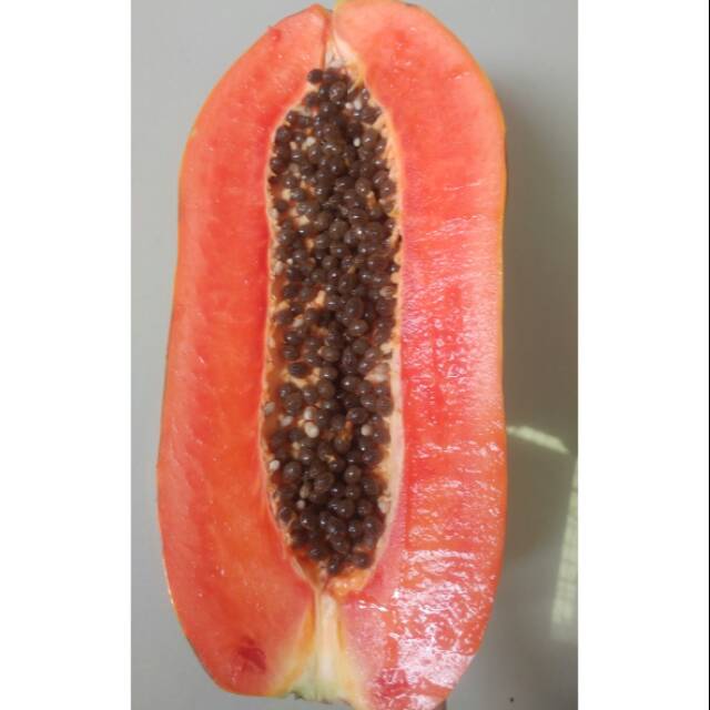 

Buah pepaya california