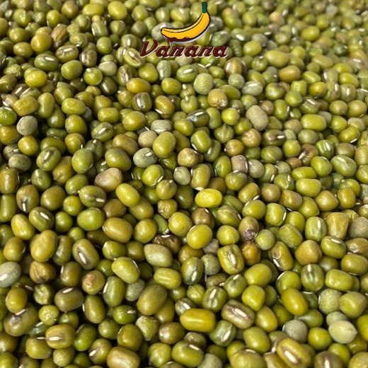 

KACANG HIJAU RIBON KUALITAS TERBAIK ECER per KG