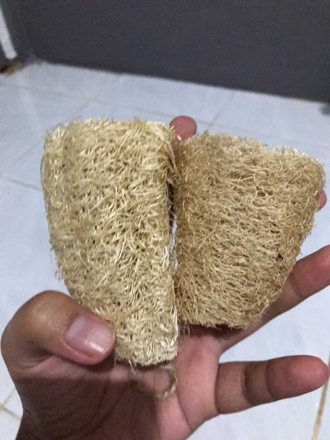 Loofah Puff Mandi Alami Premium Quality + Tali Medium Size