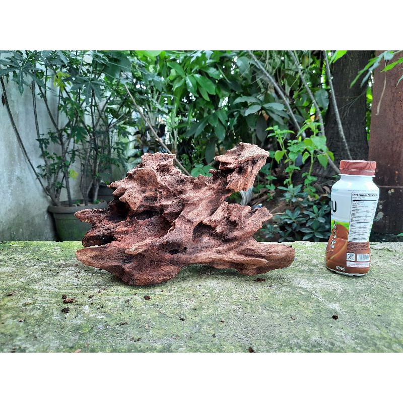 Kayu Rentek Aquascape Size L