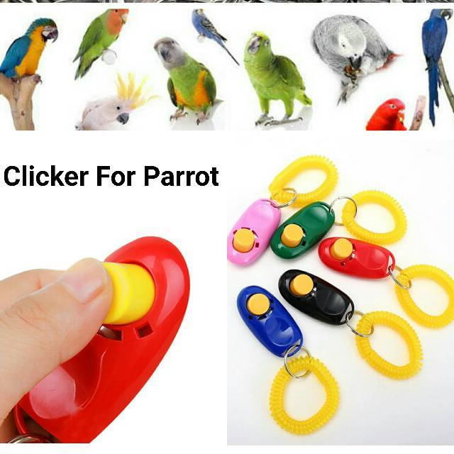 Peluit Clicker Falk Lovbird Nuri Sc Irn Afgrey Kakatua Macau Dll