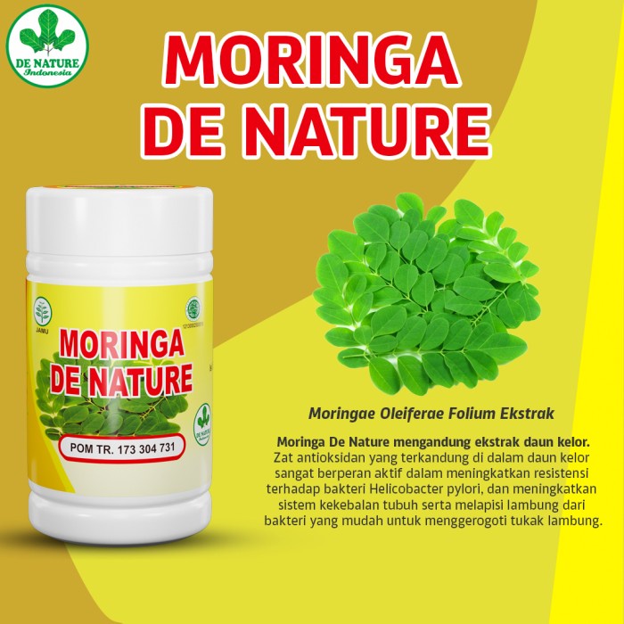 MORINGA Obat Asam Lambung Herbal Sesak Karna Asam Lambung Naik Asam Lambung De Nature