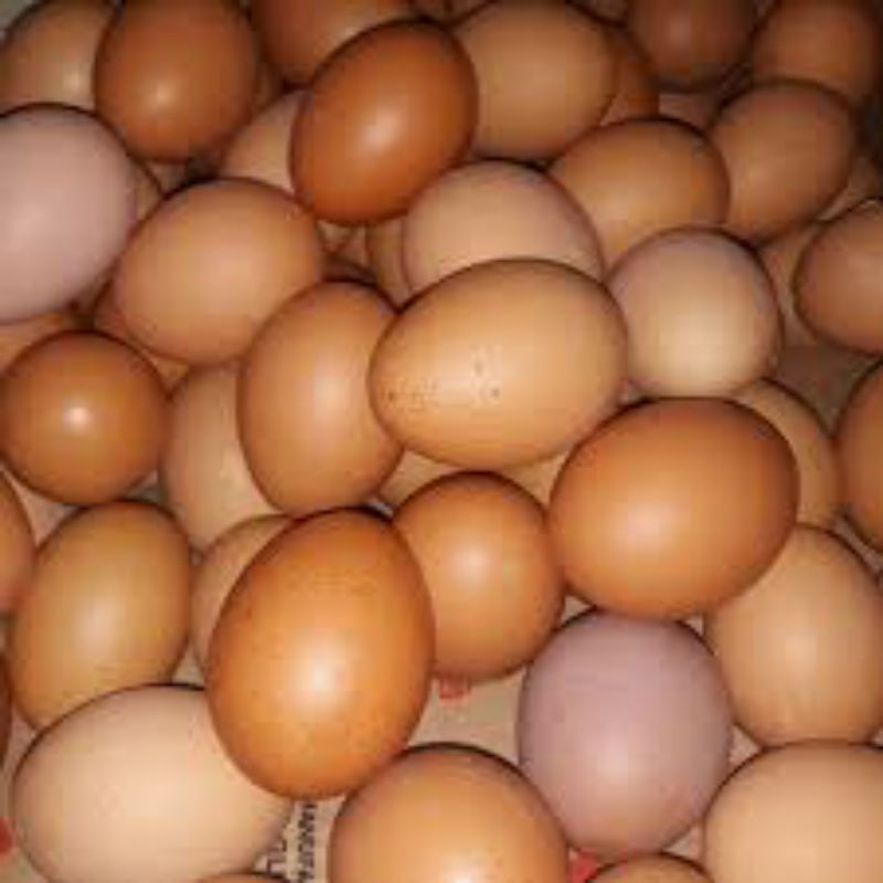 

Telur ayam ras per 10 butir