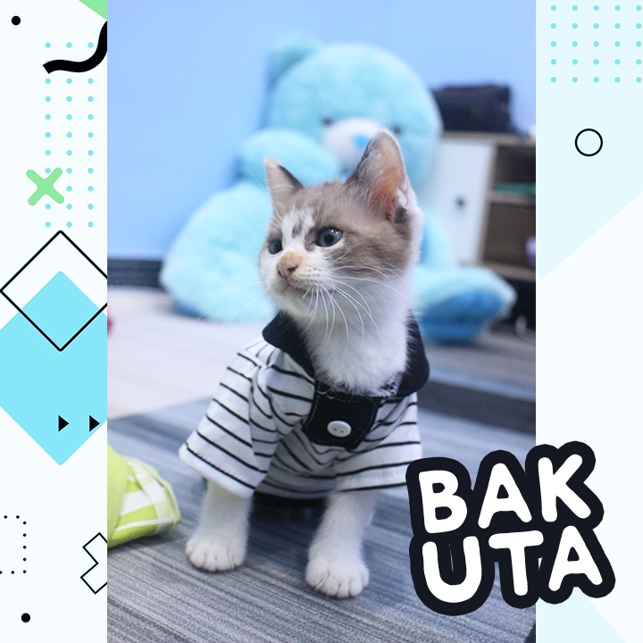Kaos Lengan panjang polo No Motif #3404 / Baju Kucing tangerang murah / baju kucing lucu size S-XL