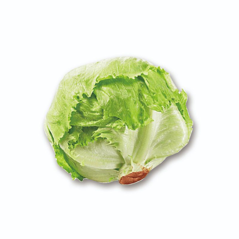 

Lettuce head /sayur lettus 1 kg
