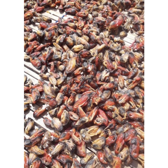 

Kerang Hijau Kering/ Green Mussel/ Tamchoi 100Gr