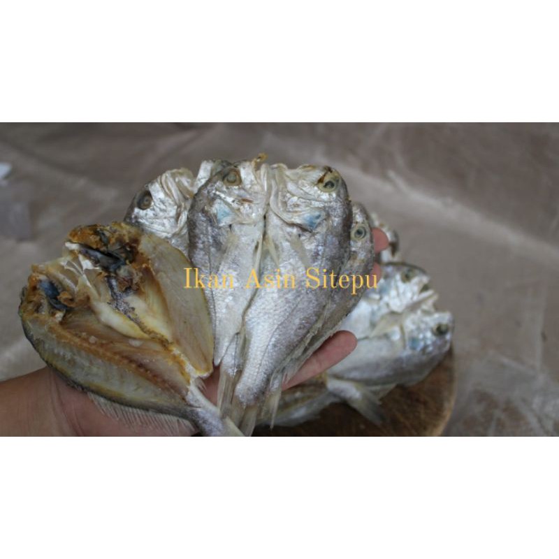 

IKAN ASIN SANGGE FRESH (500 gram)