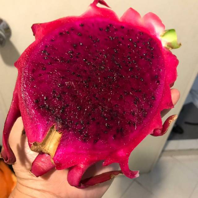 

Naga merah 1 kg