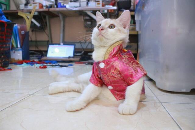 Kemeja chongsam lucu untuk kucing dan anjing imlek 2019 size S M L XL