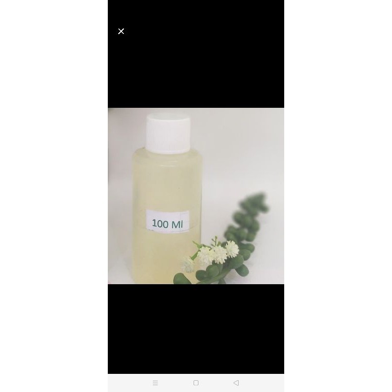 Bibit Murni Baccarat 100ml/baccarat rouge by Classic Rose