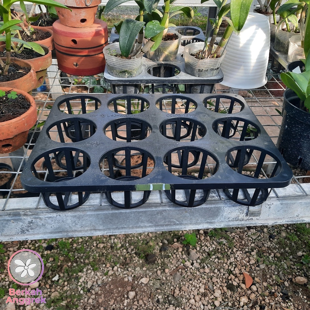 Pot Tray Semai Benih Bibit Anggrek 12 Lubang