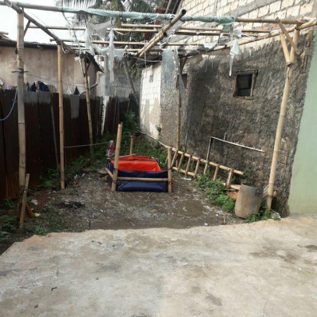 Terpal Kolam Ikan Ukuran 100x100x50cm