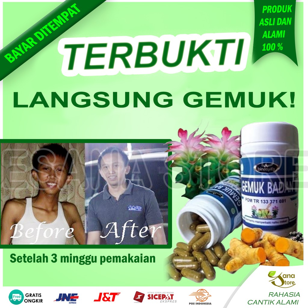 KAPSUL OBAT GEMUK PENAMBAH NAFSU MAKAN BINASYIFA BINA SYIFA PENGGEMUK BERAT BADAN PENGEMUK ES01