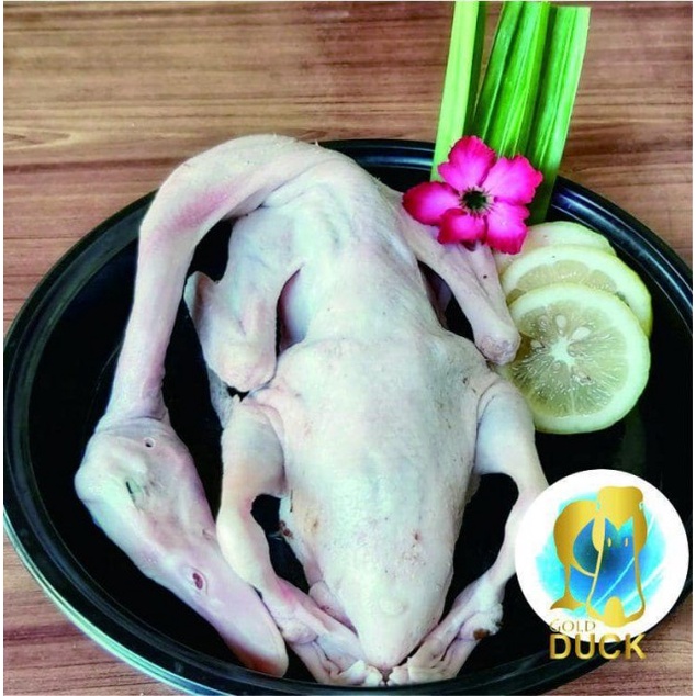 

KIRIM BESOK Bebek Hibrida Karkas 0,9 - 1 Kg